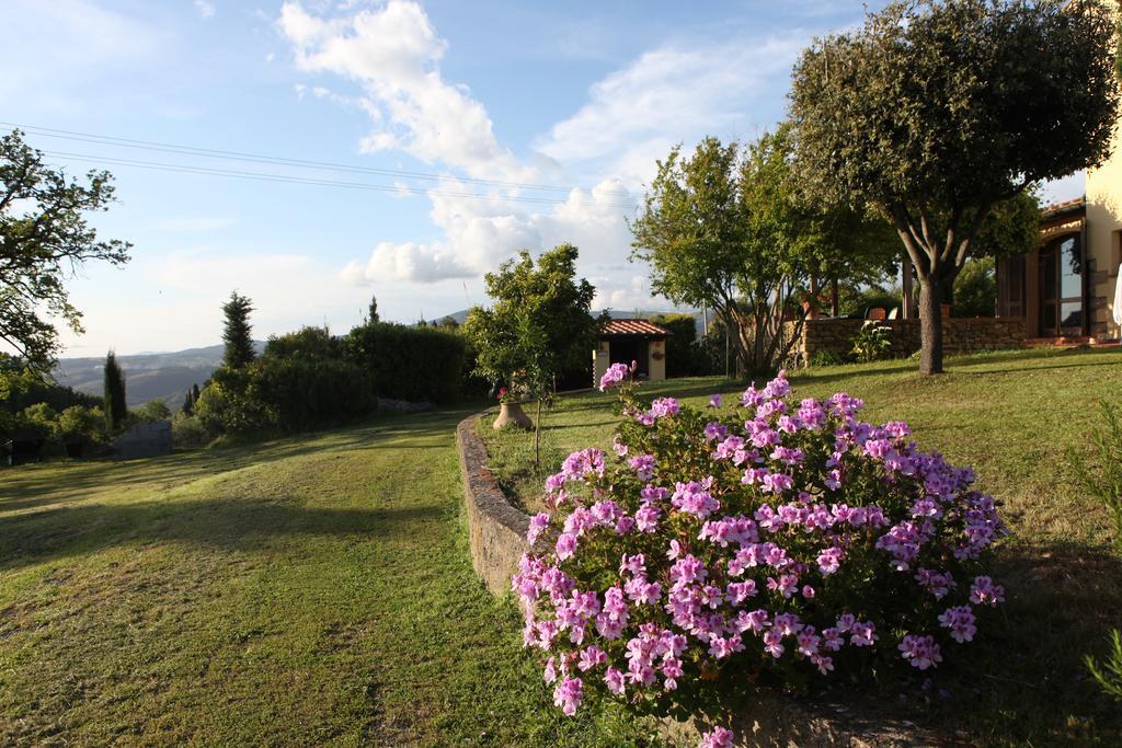 Vigna Lontana Villa Montescudaio Luaran gambar