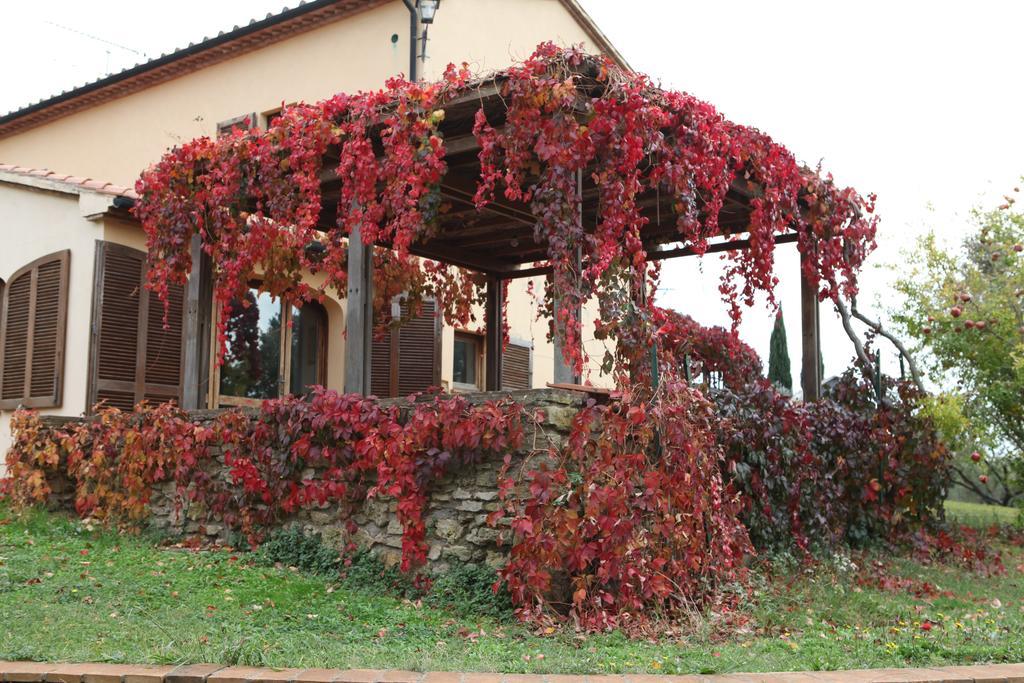 Vigna Lontana Villa Montescudaio Luaran gambar